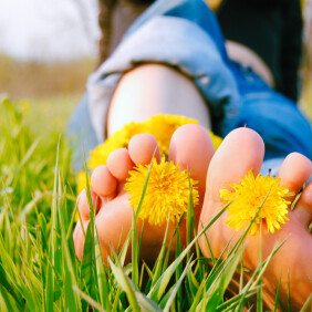 Feet of Young Woman on the Grass adorned with Dandelions Flowers between the toes
