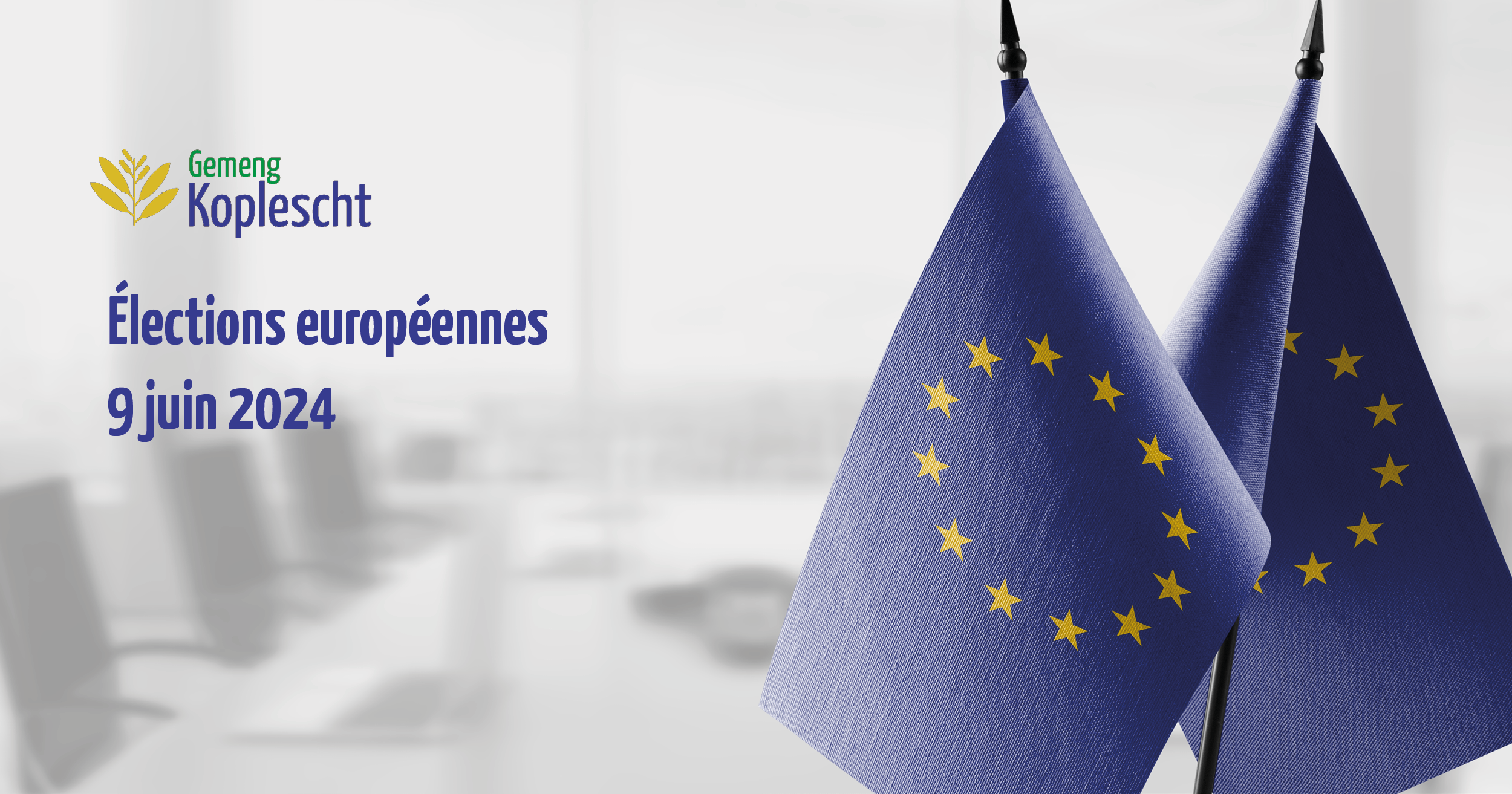 Cover_Page_Elections europeennes